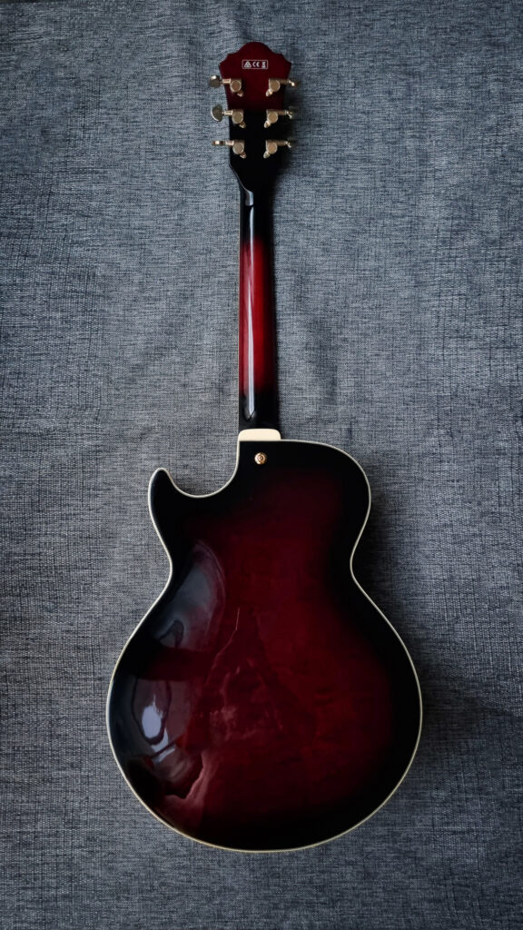 hollowbody gitar