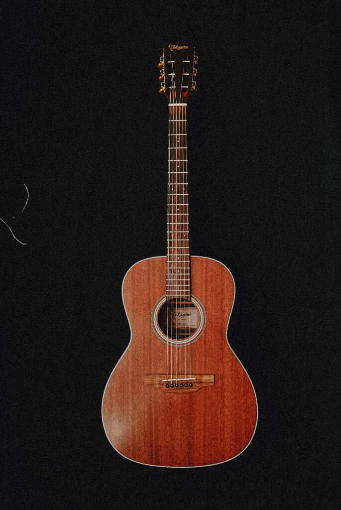 Takamine Akustik Gitar