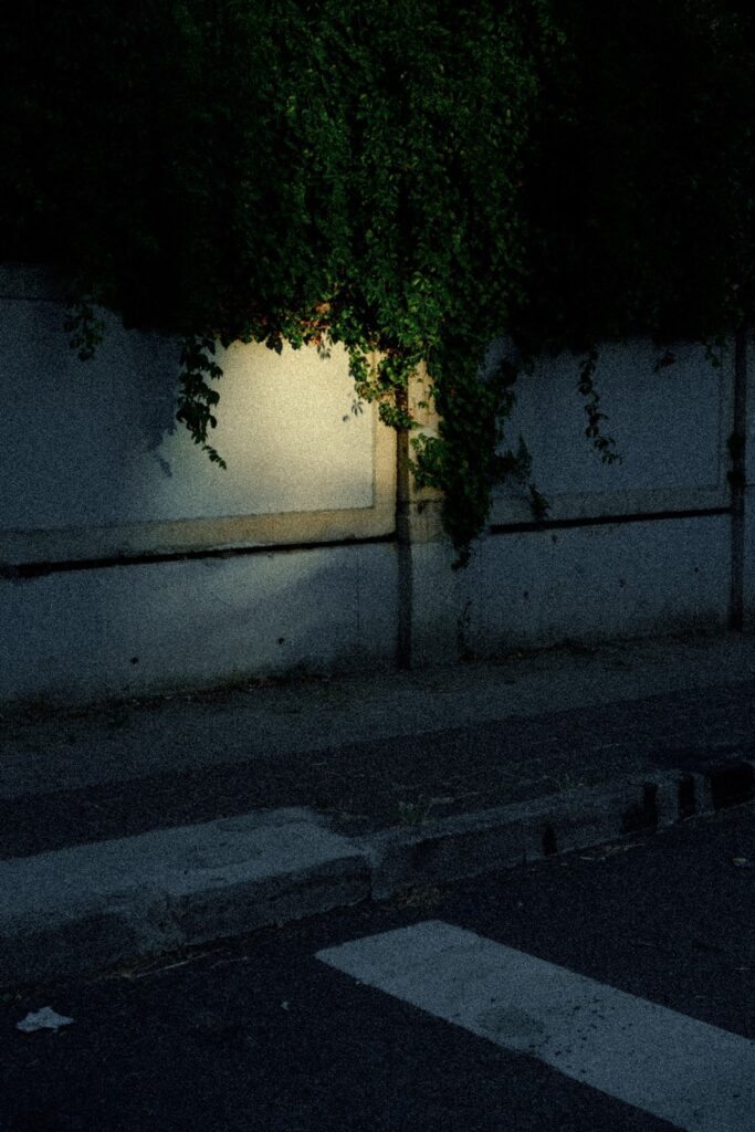 Fujifilm X-M5 İnceleme Yazısı